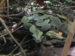 Foto 09-08-14 10 59 27