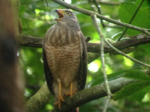 Foto 09-08-14 15 15 42