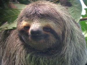 Foto 10-08-14 09 57 51