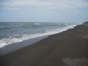 Beach at Turtle Project